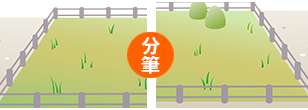 分筆登記